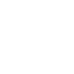 sindicato